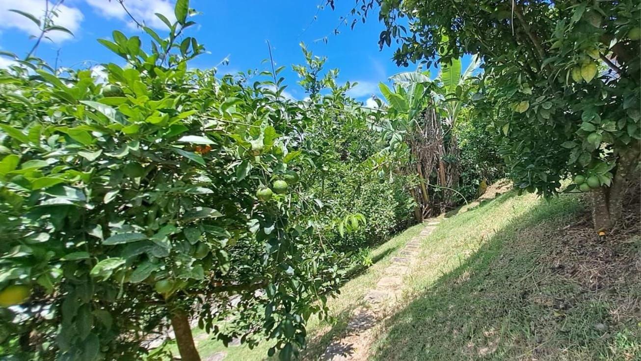 Casa Retro Na Serra - Temporadaincrivel Villa Teresopolis Exterior photo