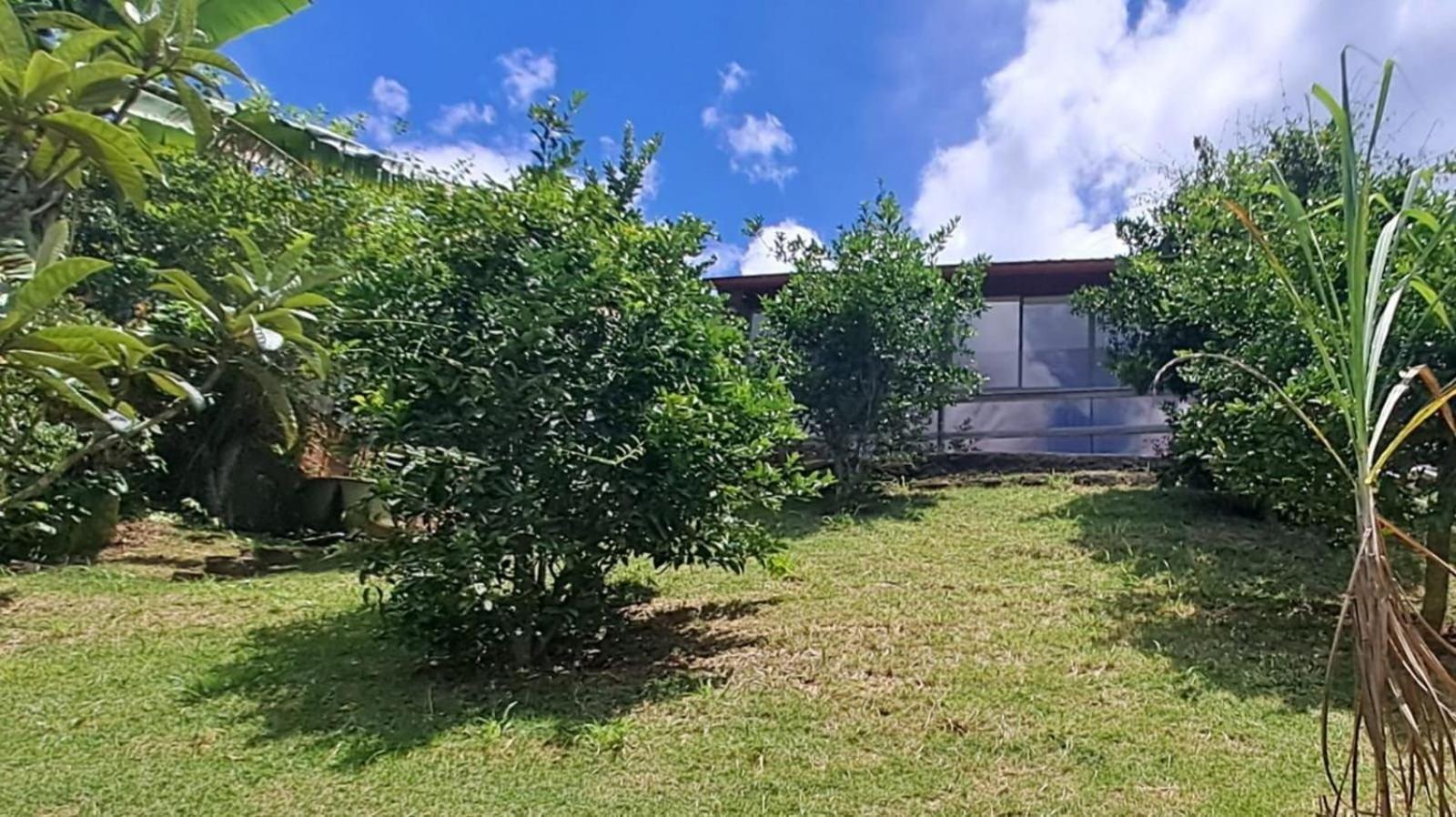 Casa Retro Na Serra - Temporadaincrivel Villa Teresopolis Exterior photo